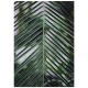 Комплект постерів "A tropical forest"