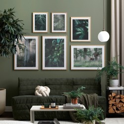 Комплект постерів в рамках "A tropical forest"