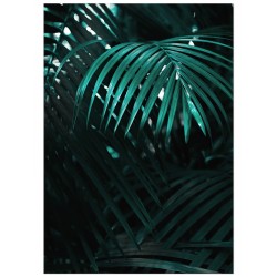 Постер "Пальма"