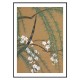 Постер "Blossom from Momoyogusa. Kamisaka Sekka. 1909"