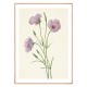 Постер "Lilac Mariposa. Botanical flowers"