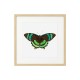 Комплект постеров в рамках "Botanical. Butterfly"