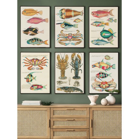 Комплект постеров в рамках "Botanical. Fish"
