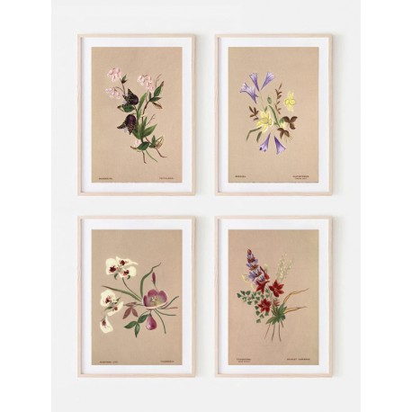 Комплект постерів в рамках "Botanical. Flowers"