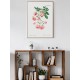 Постер "Japanese rose centifolia. Botanical flowers"