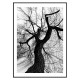 Постер "Tree silhouette"