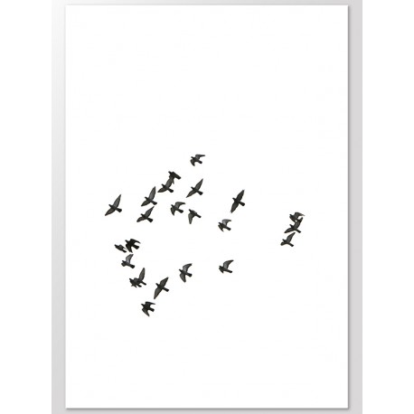 Постер "Свободные птицы"