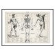 Постер "Антична ілюстрація людського тіла. Ларусс, П'єр Оже і Клод. 1900"