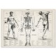 Постер "Античная иллюстрация человеческого тела. Ларусс, Пьер Ож и Клод. 1900 г"