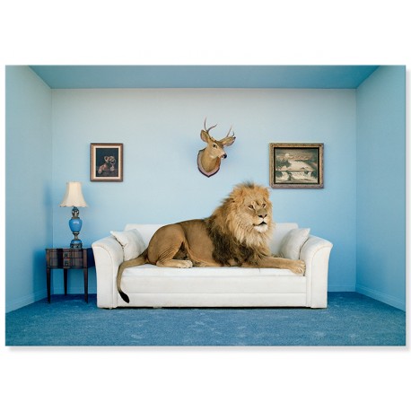 Постер "Лев сидить на дивані, фотограф Маттіас Кламер"