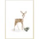 Комплект постерів "Forest Animals"
