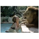 Постер "Мелані Гріффіт і лев Ніл"