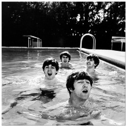 Постер "Джон, Пол, Джордж і Рінго в (дуже, дуже холодному) басейні Маямі в лютому 1964 року"