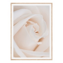 Постер в рамці "Rose" розмір на вибір