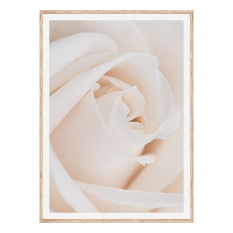 Постер в рамці "Rose" розмір на вибір