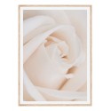 Постер в рамці "Rose" розмір на вибір