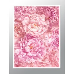 Постер в рамці "Peonies" розмір на вибір