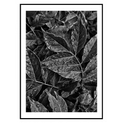 Постер в рамці "Leaves" розмір на вибір