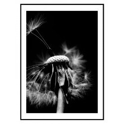 Постер в рамці "Dandelion" розмір на вибір