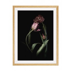Постер в рамке "Tulip"