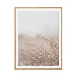 Постер в рамке "Dried flowers"