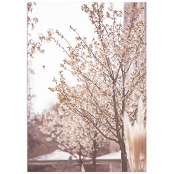 Постер "Blooming tree"