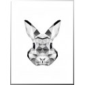 Постер "Rabbit"