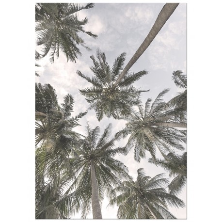 Постер "Palm"