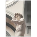Постер "David. Michelangelo"