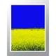 Комплект постерів в рамках "Yellow-blue"