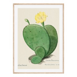 Постер в рамці "Cactus"