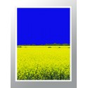 Постер в рамці "Blue and yellow"