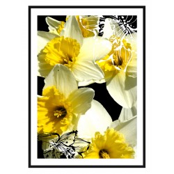 Постер в рамці "Narcissus ART"
