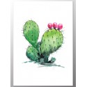 Постер "Cactus"