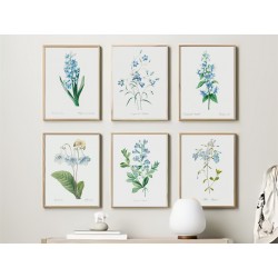 Комплект постерів "Botanical. Flowers"