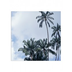 Постер "Palms"