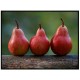 Комплект постерів в рамках "Red pears"