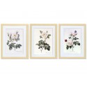 Комплект постерів "Botanical flowers"