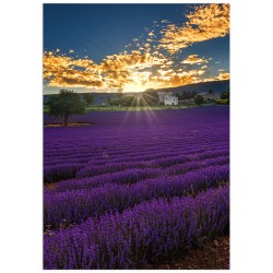 Постер "Provence France"