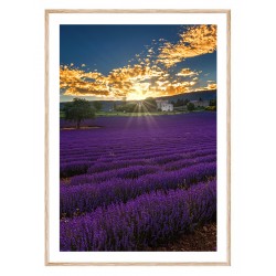 Постер в рамке "Provence France"