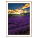 Постер в рамке "Provence France"